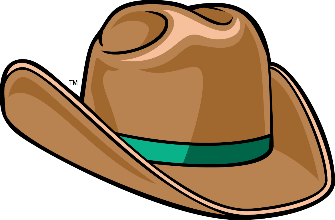 Stetson Hatters 2008-2017 Alternate Logo v2 diy iron on heat transfer